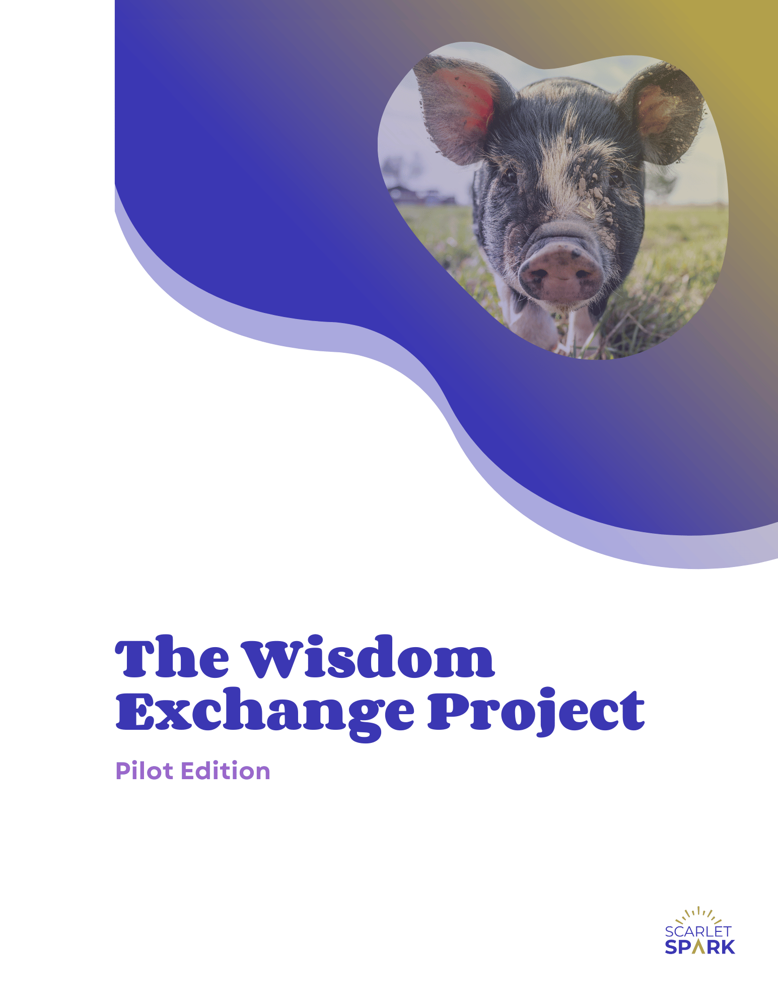 The Wisdom Exchange Project Cover Image