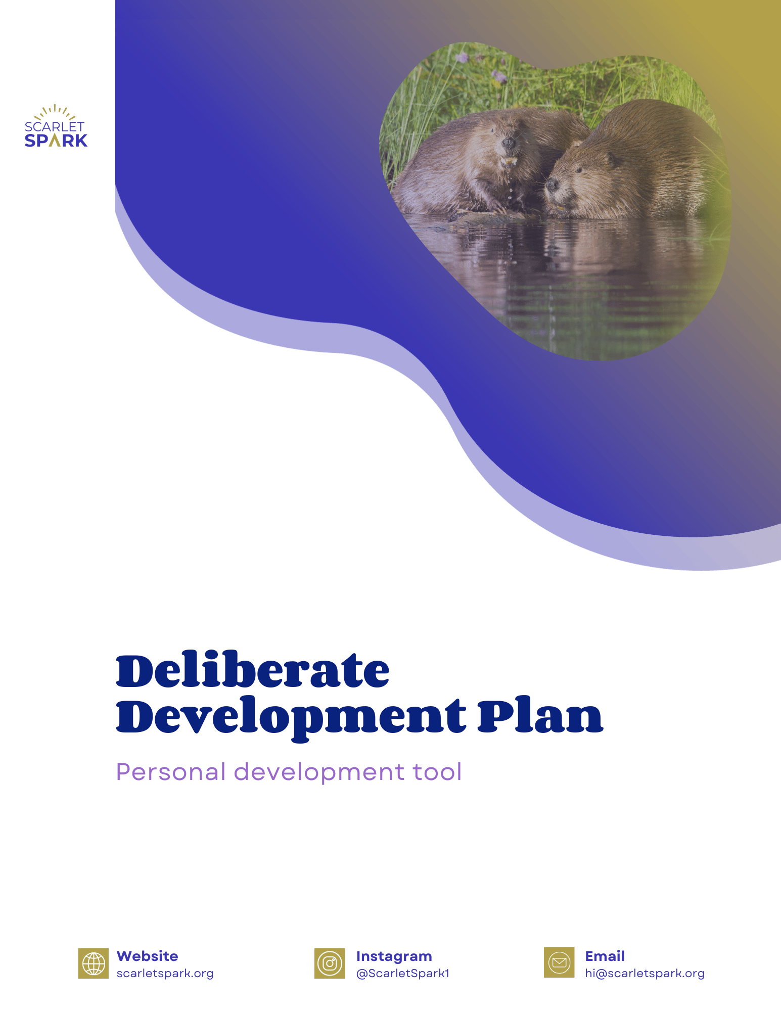 Deliberate Development Plan