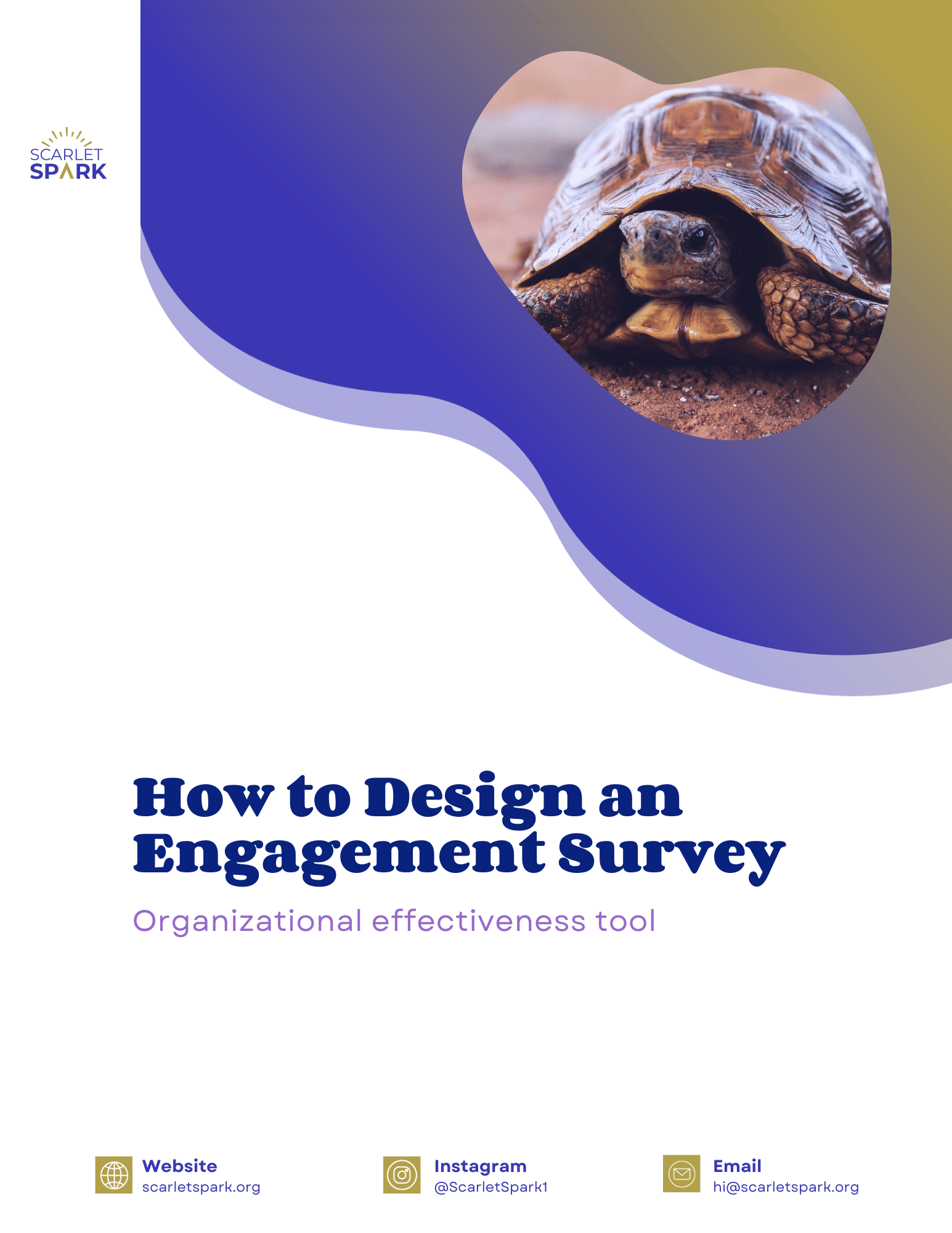 How to Design an Engagement Survey