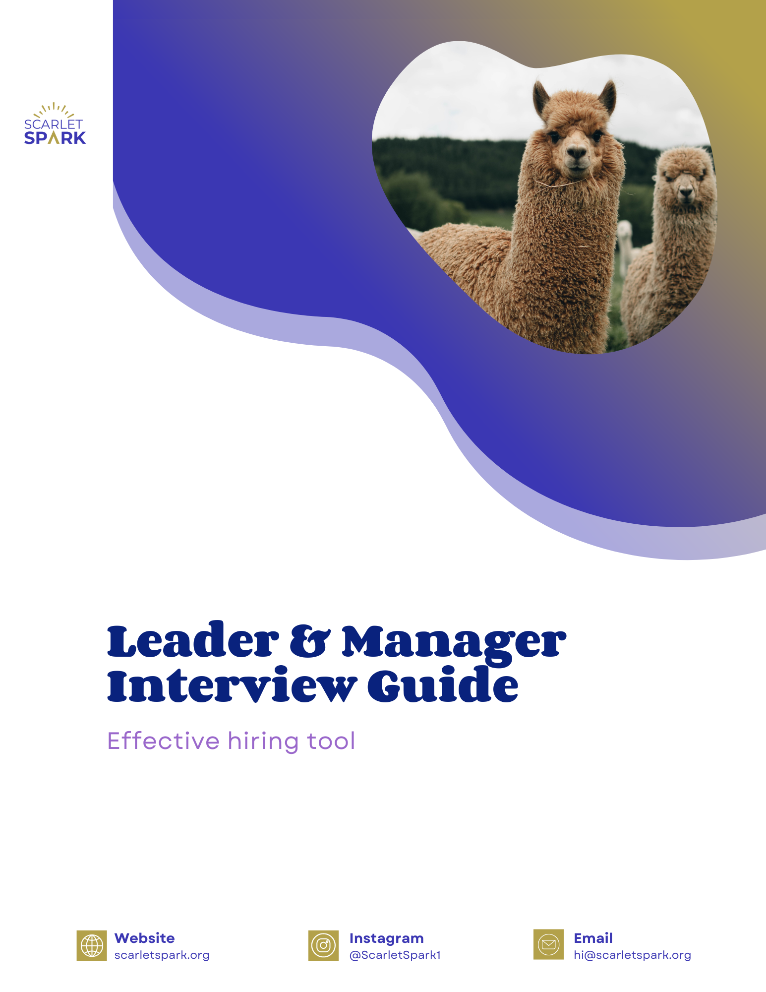 Leader Interview Guide