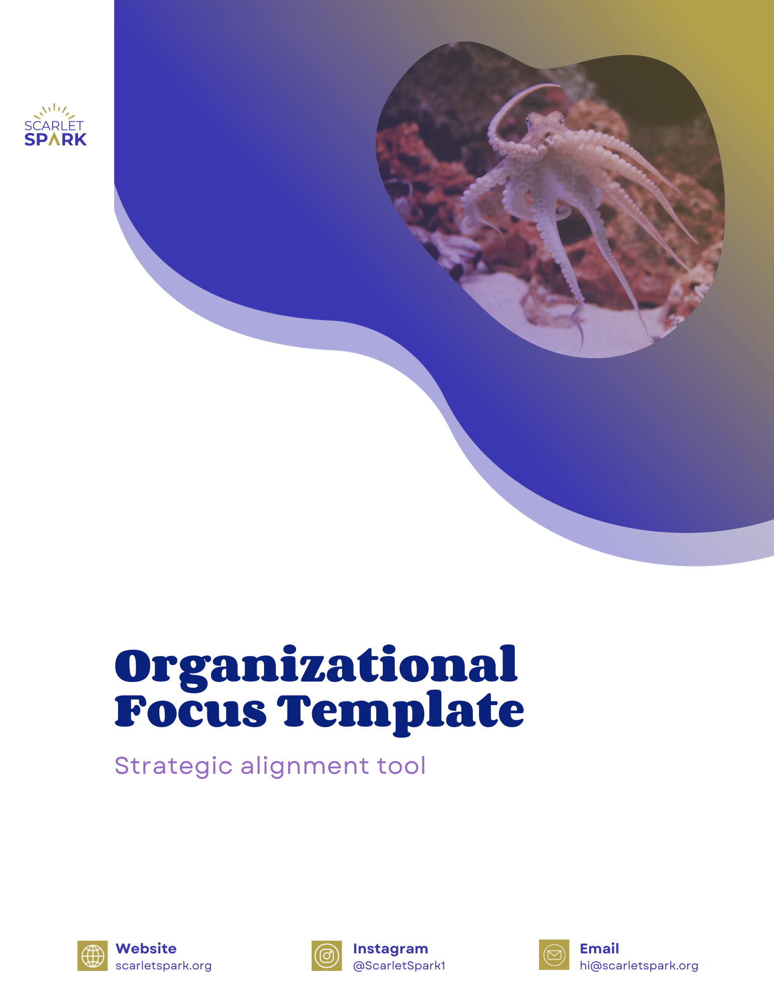 Organizational Focus Template