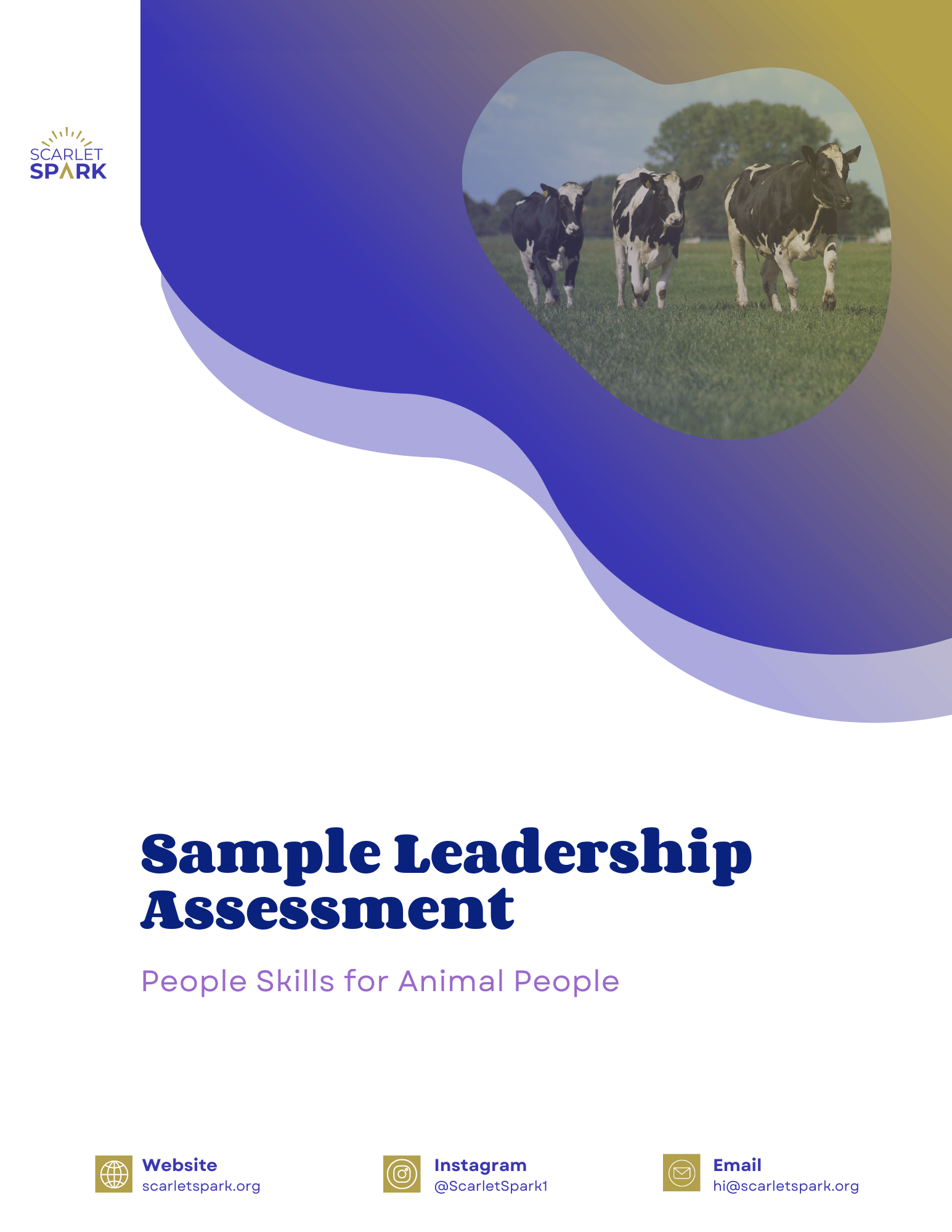 Sample Leadership Assessment (1)