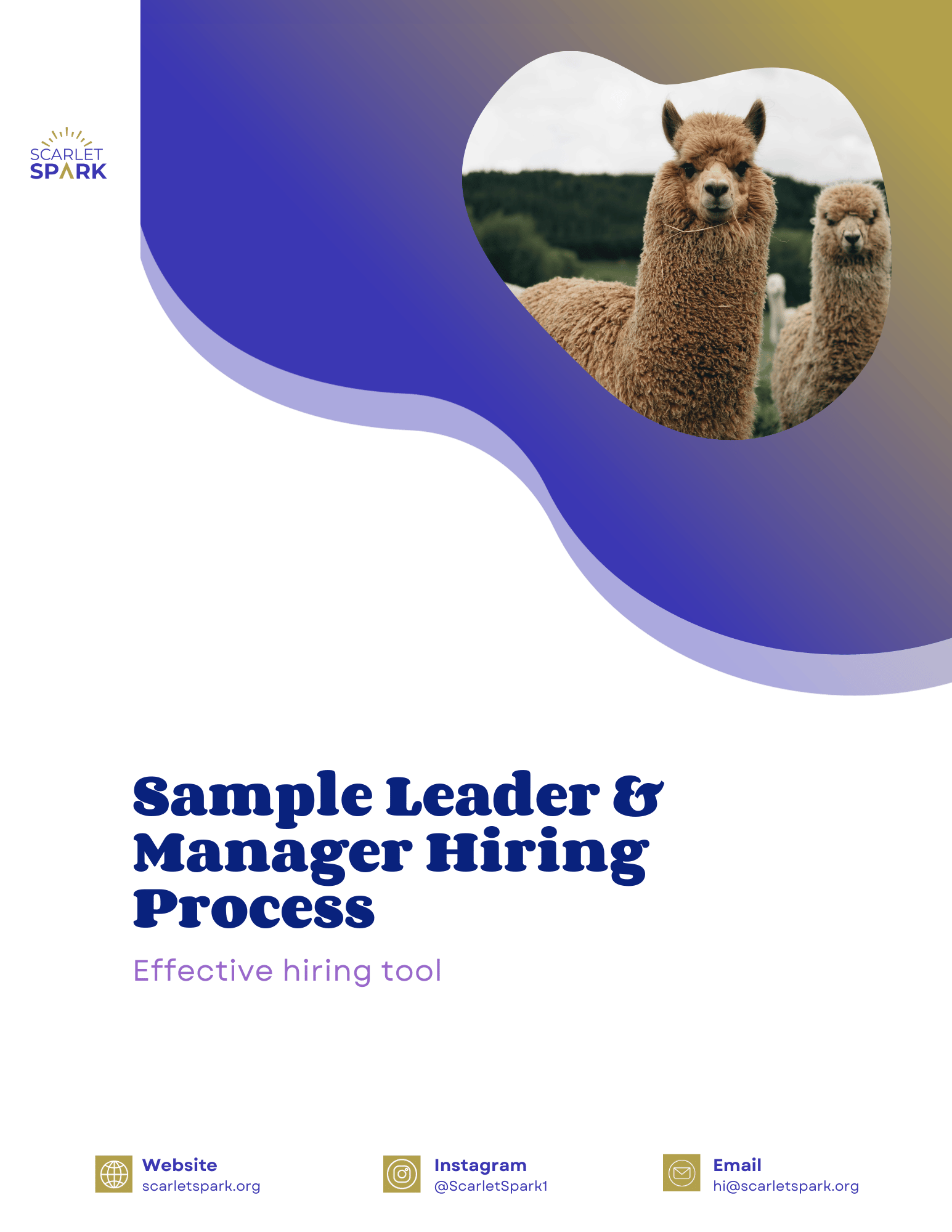 Sample Leader & Manager Hiring Process